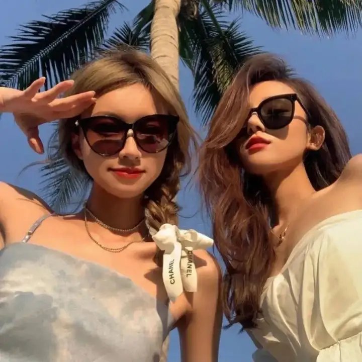 终结杉计划